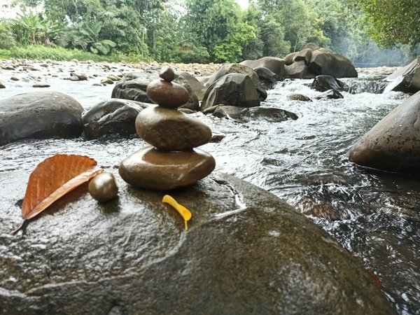 Quels sont les secrets pour une visite culturelle des temples zen au Japon ?